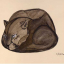 Gaston SUISSE (1896-1988) - Panthère noire lovée.1926.
